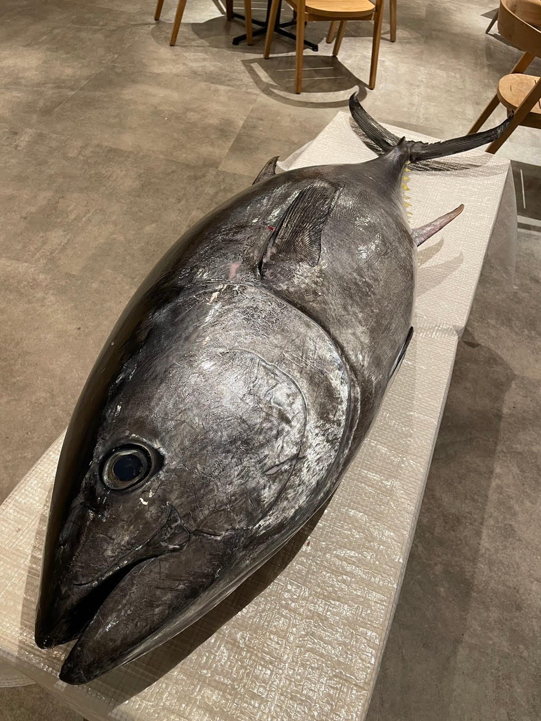 4. 特別な体験を！マグロ解体ショー